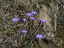 Spring Hiking 1009